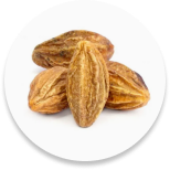 Harad